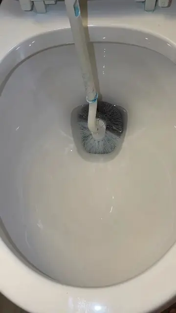 Y’all know, I can’t resist the toilet bowl full of Ajax and the suds that came f