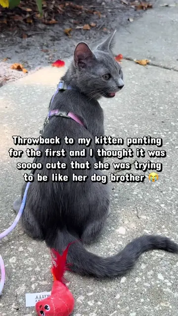 Quickly learned that was not the case 
