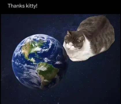 thanks kitty 