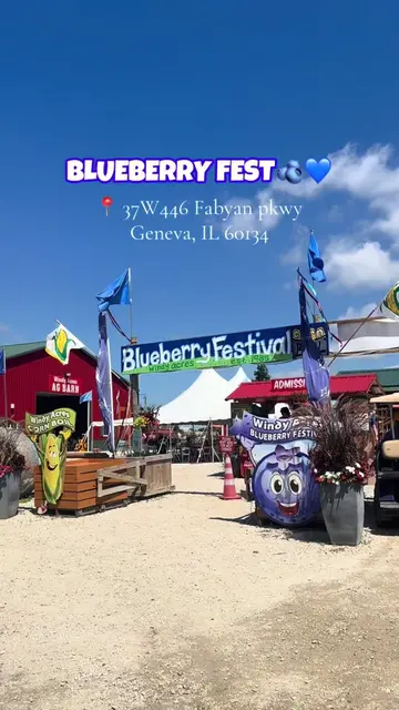 Blueberry Fest in Geneva was so much fun — donuts, slushies, roasted corn, and a