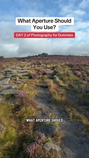 if you’re just starting in photography or you’re a beginner photographer, let’s 