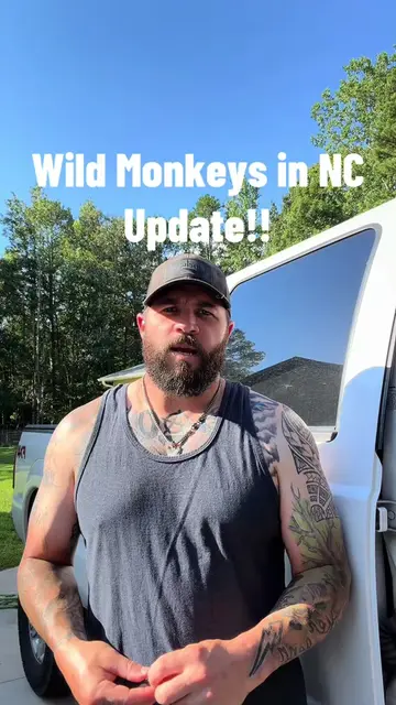 Multiple monkeys spotted this morning!! #monkey #northcarolina #caution #Outdoor