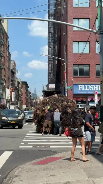 this city is so random 😭                                  #ditl #nyc #nyclife 