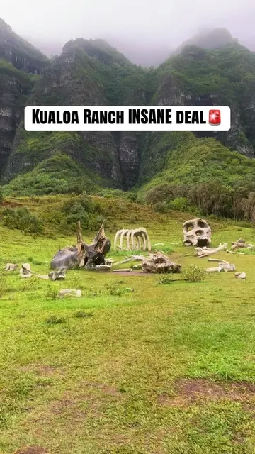 Get 20% off Kualoa Ranch tours for a limited time! 🌴 ✅ Click the Kualoa Ranch g