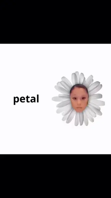 petal frame ariana grande tutorial how to get petal frame ariana grande petal fr