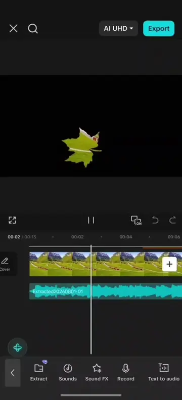 Maple Leaf Intro #CapCut #capcutpioneer #capcut_edit #tutorial #video_edit 