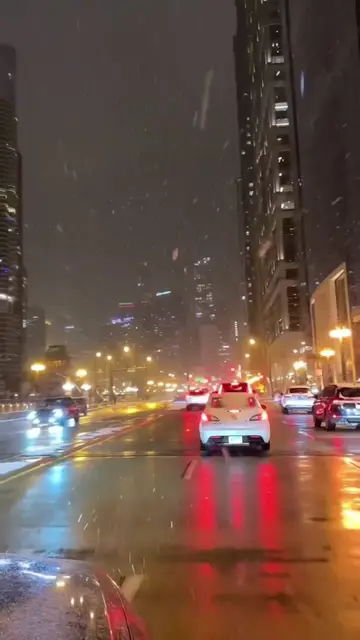 Winter is coming in just 4 months. This is how a real Chicago snowstorm looks li