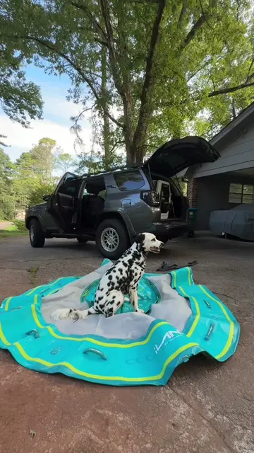 I bought my dog his very own private iLand!!!  @iROCKER | SUPs & Floats  #dog #d