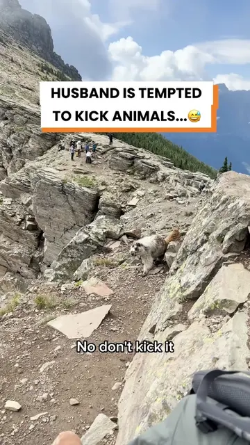He was fearing for his lifeee...😭 @stefanylynns #funnycouplegoals #animals #hus