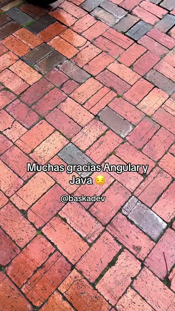 Necesitas un dev freelance? Escríbeme #baskadev #developer #java #angular #gixxe