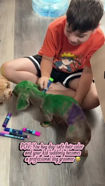 I said it was made for dogs… apparently that meant Rainbow needed a FULL makeove
