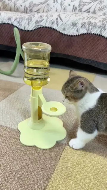 Better water, less mess. 💦 This portable pet dispenser keeps water clean and fr