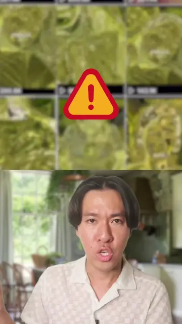 Matcha filter trend has taken over online, with many warning what you’re actuall