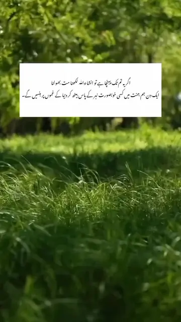 InshAllah 😍❤️#viewsproblem #tiktokgrowth #creatortips #storytips #algorithmhack