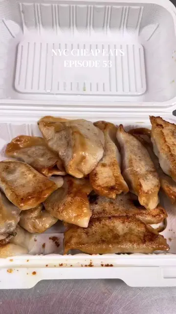 $5 for 15 pan fried pork and chive dumplings in chinatown! perfect bite to share