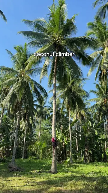 choose your climber #vitacoco #coconutwater 