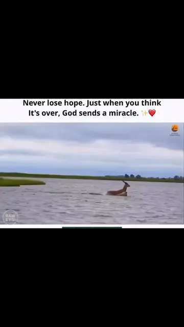 never loose hope just when you think it's over. God sends a miracle #creatorsear