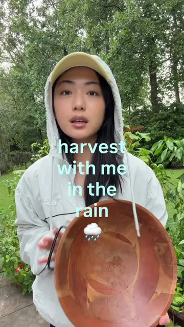 tbh I had more to harvest but the thunder was scaring me 🫠 #garden #harvest #as