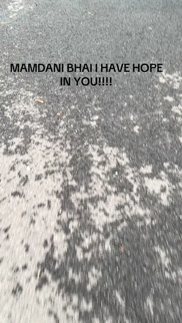 @Zohran Mamdani I have hope in you!! #nyc #potholes #relatablevideos #mamdani #b