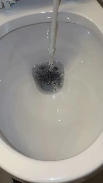 I DON’T CARE WHAT ANYBODY SAYS AJAX AND PINALEN MAKES THE BATHROOM SMELL AMAZING