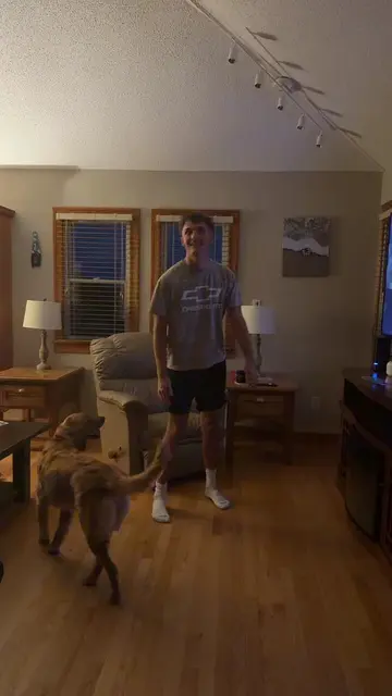 Am I… spider man 🕸️🕸️ #fypシ #fyp #fortoupage #dog #doghumor 