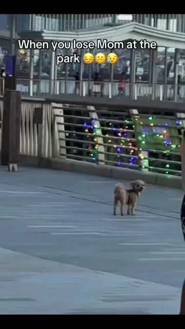 His whole body lit up with joy. Without thinking twice, he took off running as f