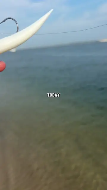 Eating only what the ocean provides… #catchandcook #seafood #fish #fishing