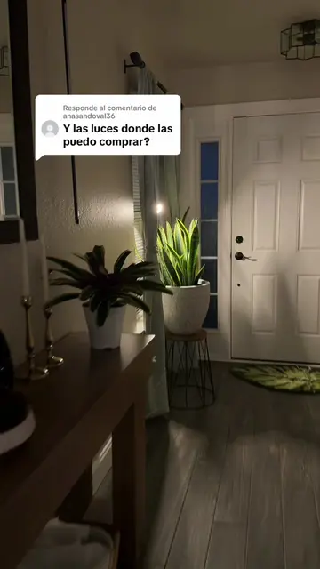 Respuesta a @anasandoval36 Mis plantitas felices con sus luces de crecimiento 🌱