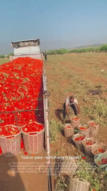 Oh My Gosh! Does Loading Fruit Always Have to Be This Smooth?  🍎😲