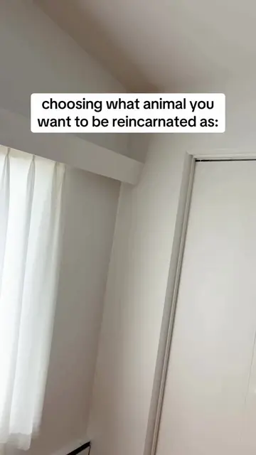 what animal would you choose? #skit #deep