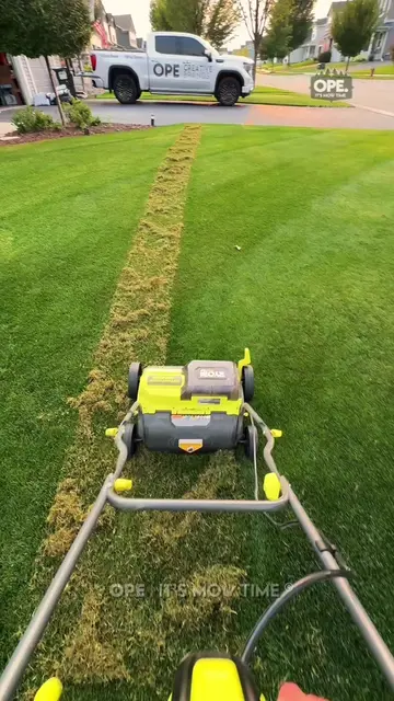 Looks brutal, but works every time 🏡  #DIY #lawn #grass #lawncare