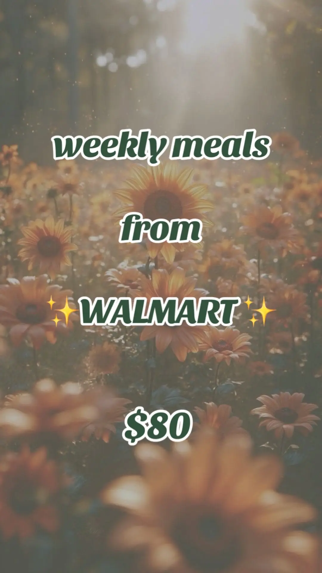 weekly meal ideas, family of 5, less than $100!  . . #mealideas #mealplan #dinne