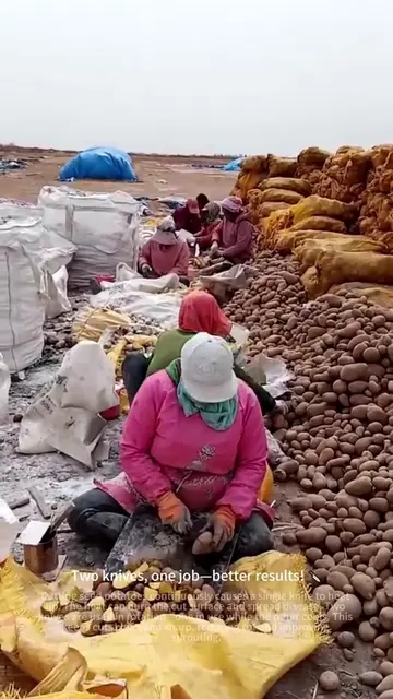 Do You Know Why Two Knives Are Used for Cutting Potatoes? 🥔🤔