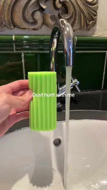 Dust hunt with me 💚 #dampduster #cleanwithme #CleanTok #cleanmotivation #cleani