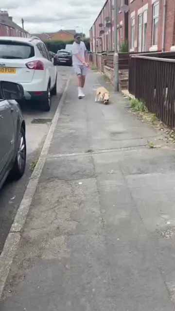 #DogTraining #viralvideos #fyp #dogloverforever #Doncaster 