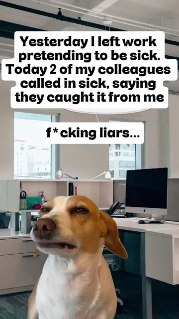damn liars🤣🫠 #9to5 #corporatelife #officememes #corporatehumor #corporateameri