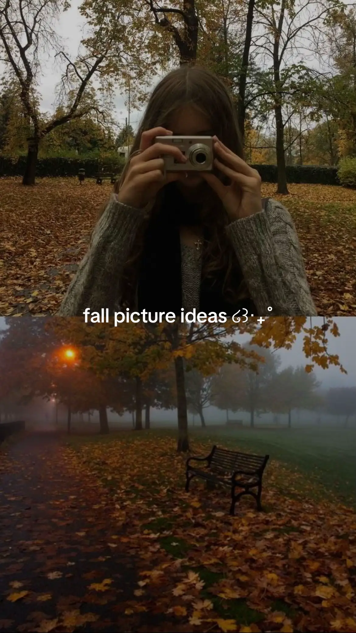 save this post for october! ໒꒱‧₊˚ #pictureideas #fall #autumn #leaves #aesthetic