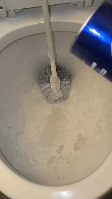 YOUR TOILET WILL ALWAYS BE CLEANER WITH AJAX AND ICE AND THIS WAS AMAZING #ajax 