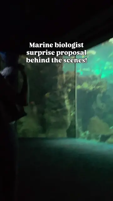 Surprise aquarium proposal for my client who is a marine biologist! 🥰 so honore