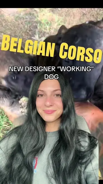 Also not how genetics work …  #backyardbreeder #backyardbreeding #designerdogs #