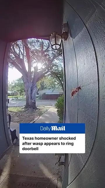 Dallas firefighter Alex Gomez got an unexpected visitor at his front door when h