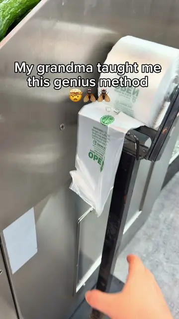 My grandma told me this genius method!! 🤯🪰🪰 #LifeHacks #advice #Home #homehac