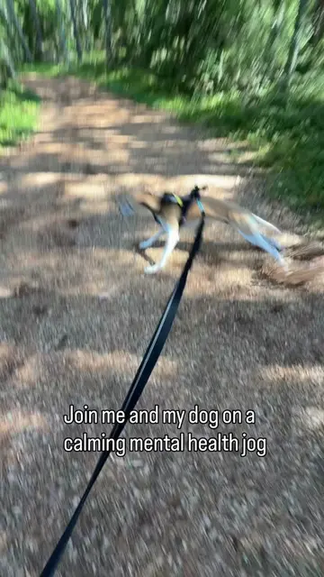 Before anyone says anything: yes, he gets to run off leash every day 😅 He’s jus