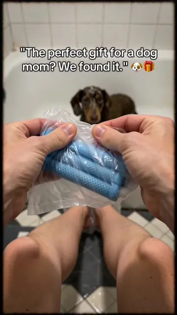 Send this to a dog owner 🐶🐾 #pet #bath #animal #dogsoftiktok 