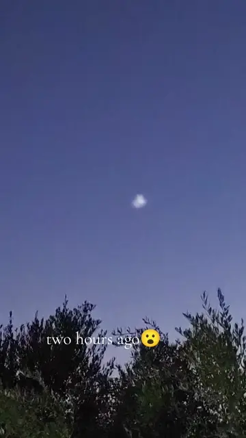 the x files😲