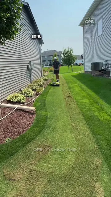 THIS is why seeding projects FAIL! 🚨⤵️ Scarifying can remove thatch and dead ma