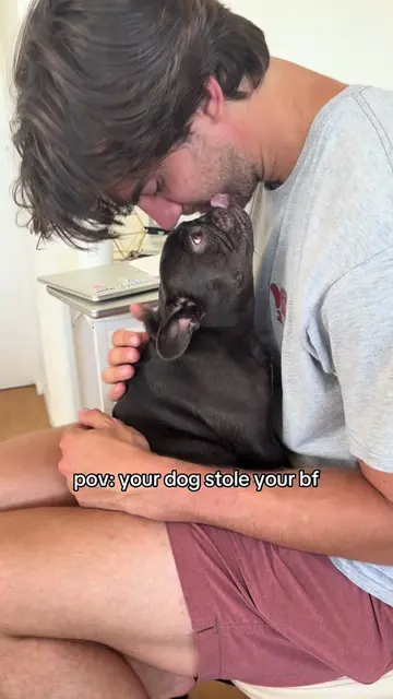 they have a special bond🥰 #frenchie #mabelthefrenchie #frenchbulldog #dog #Best