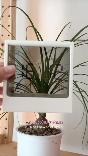 Unboxing My New IKEA Finds🔎 #ikeafinds #homedecor #ikeathailand #ของแต่งบ้าน 