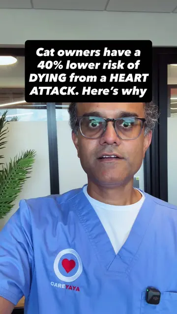 Cat owners are dying of heart attacks 40% less often, and it has nothing to do w
