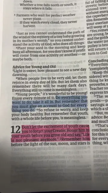 Ecclesiastes 12:1 | Enjoy your youth but NEVER forget about Christ. #christianti
